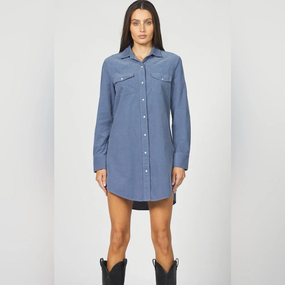 Dear John Rory Dusty Blue‎ Corduroy dress size Small